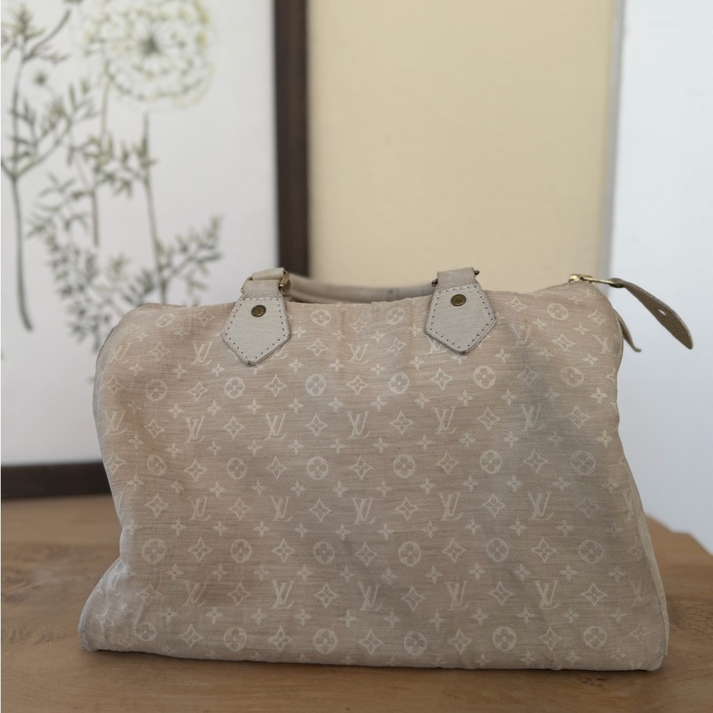 🤍 Louis Vuitton Monogram Mini Lin Speedy 30 in Dune - Picture 5 of 15